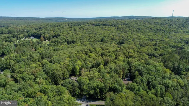 an aerial view of residential houses with outdoor space and trees