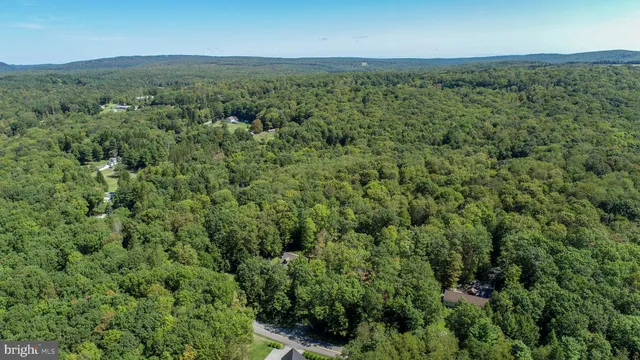 a view of a lush green hillside and houses