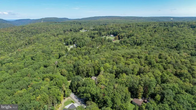 a view of a lush green hillside and a mountain