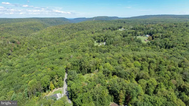 a view of a big yard with lots of green space and mountain view