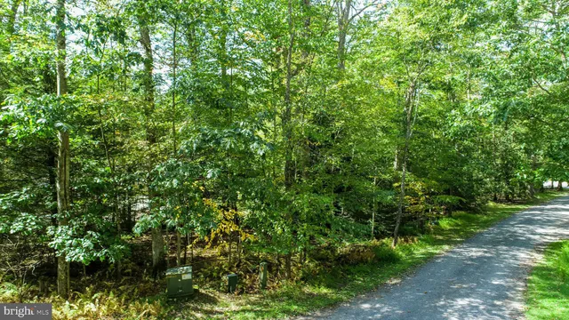 an aerial view of residential house with outdoor space and trees all around