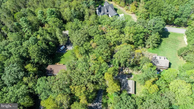 a view of a green field with lots of bushes