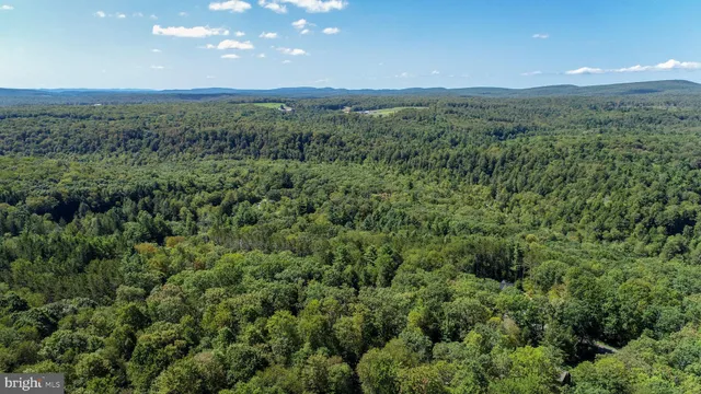 a view of a green field with lots of bushes