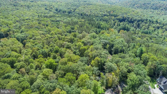 an aerial view of forest