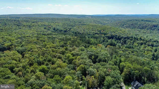 a view of a lush green field
