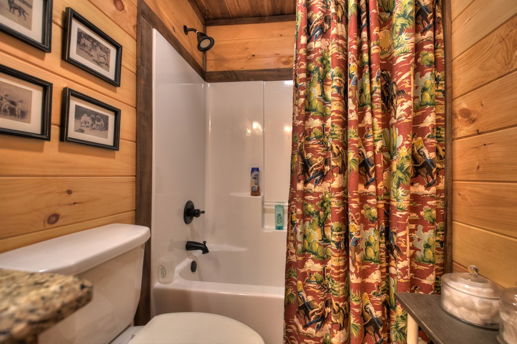 294 Icy Lane Blue Ridge, GA 30513 - Photo 29 of 41 Gallery Image 29