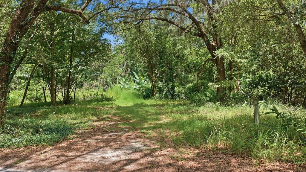 17400 Northwest 120th Ave Road Reddick, FL 32686 - Photo 25 of 37