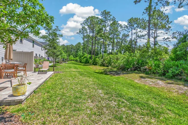 a view of a backyard with a garden and plants