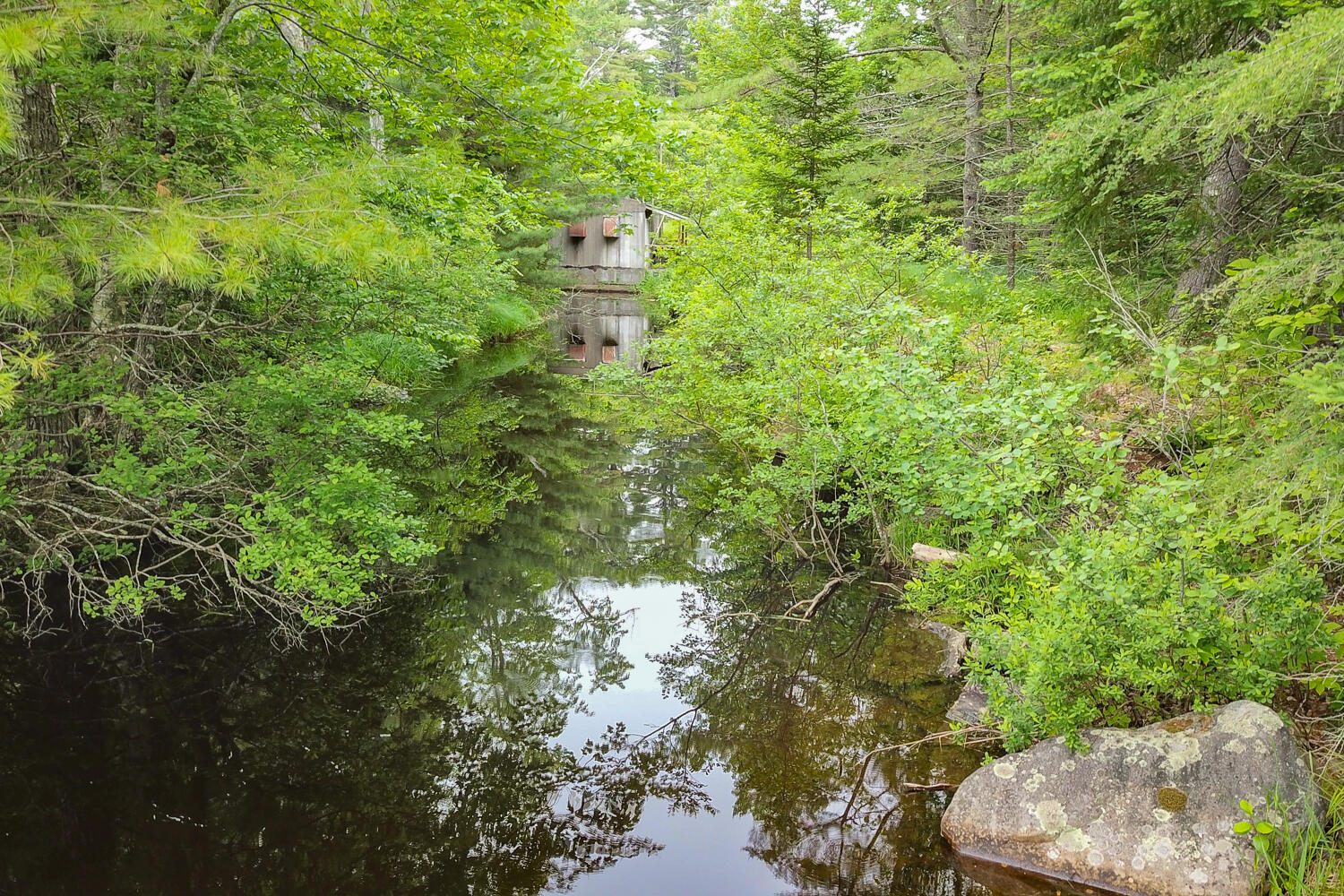 5 Maeve's Way Belfast, ME 04915 - Photo 14 of 25 5 Maeves Way 17-(ZF-2213-18781-1-017)