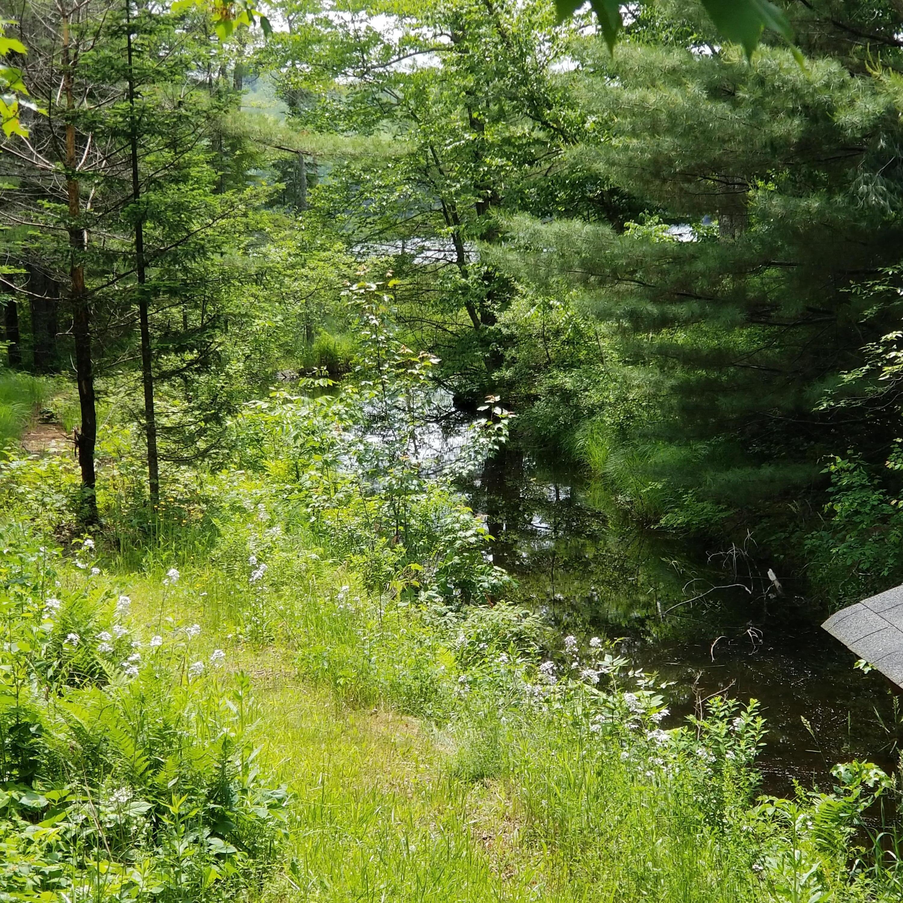 5 Maeve's Way Belfast, ME 04915 - Photo 15 of 25 20230613_140352