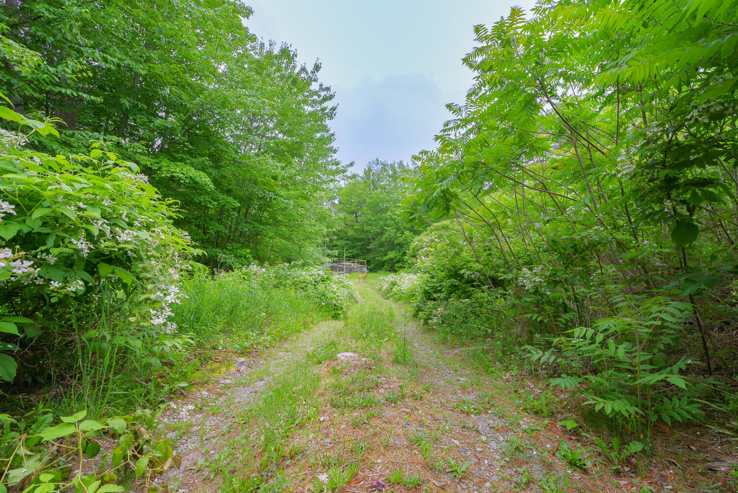 5 Maeve's Way Belfast, ME 04915 - Photo 18 of 25 5 Maeves Way 07-(ZF-2213-18781-1-007)