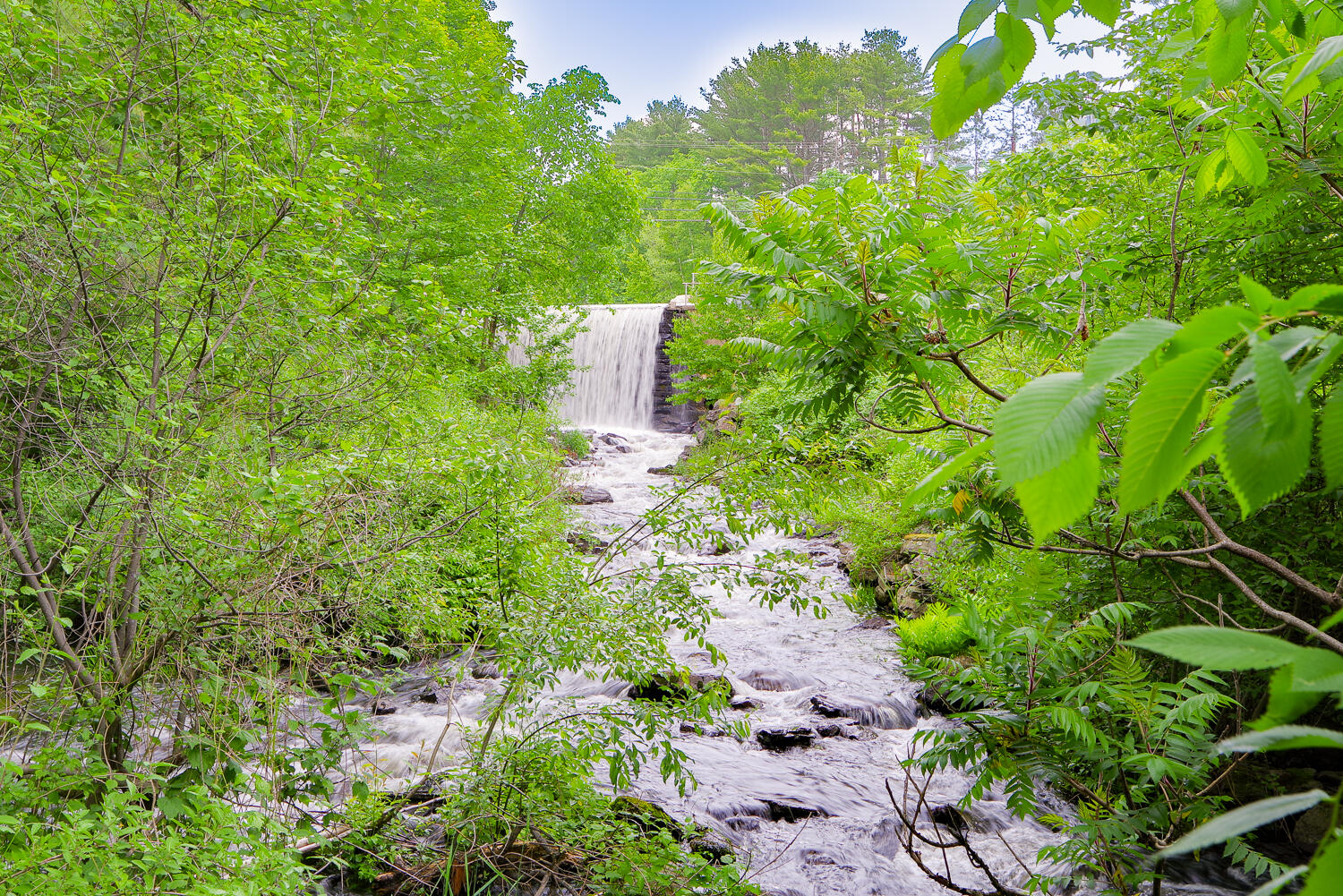 5 Maeve's Way Belfast, ME 04915 - Photo 2 of 25 5 Maeves Way 13-(ZF-2213-18781-1-013)