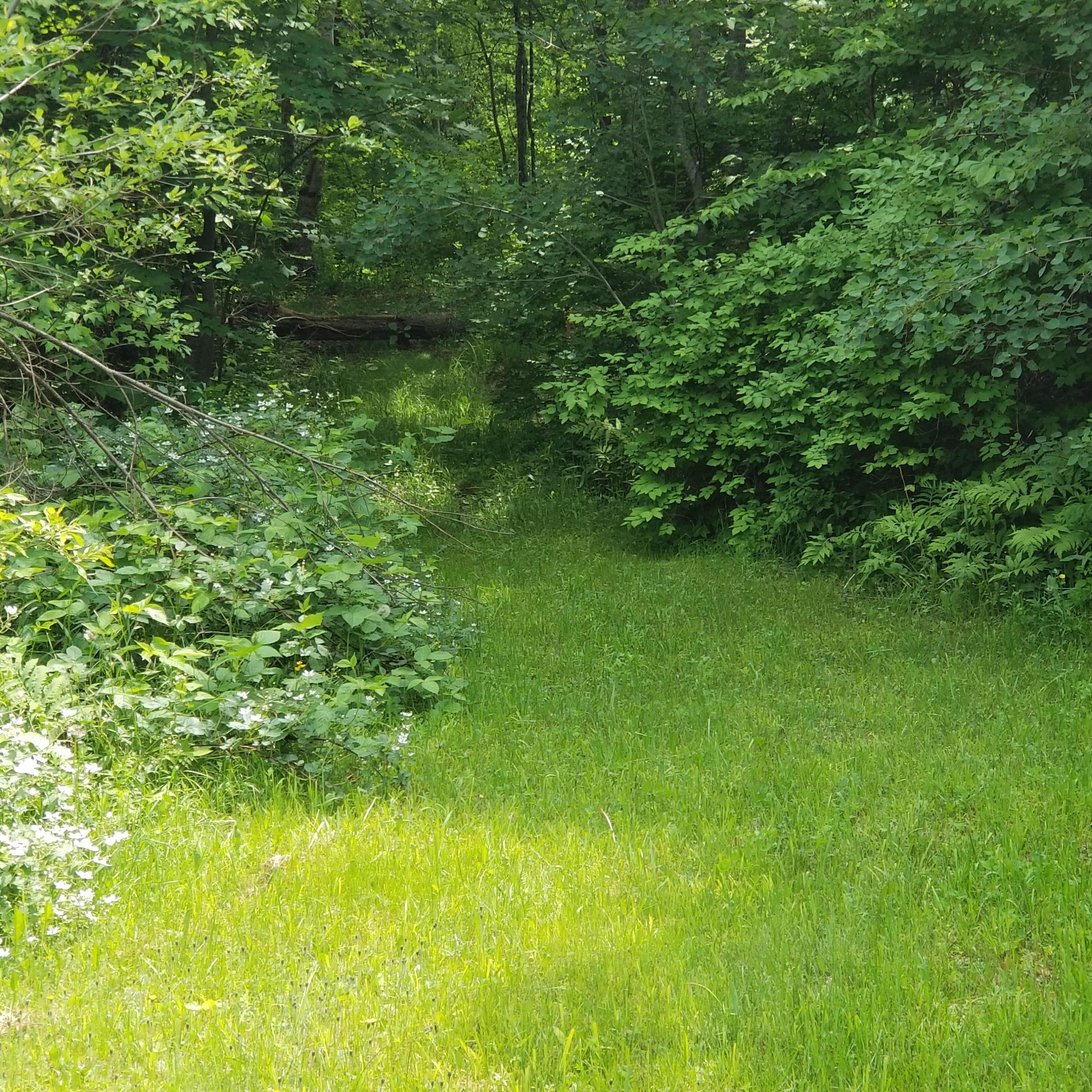 5 Maeve's Way Belfast, ME 04915 - Photo 23 of 25 20230613_140606