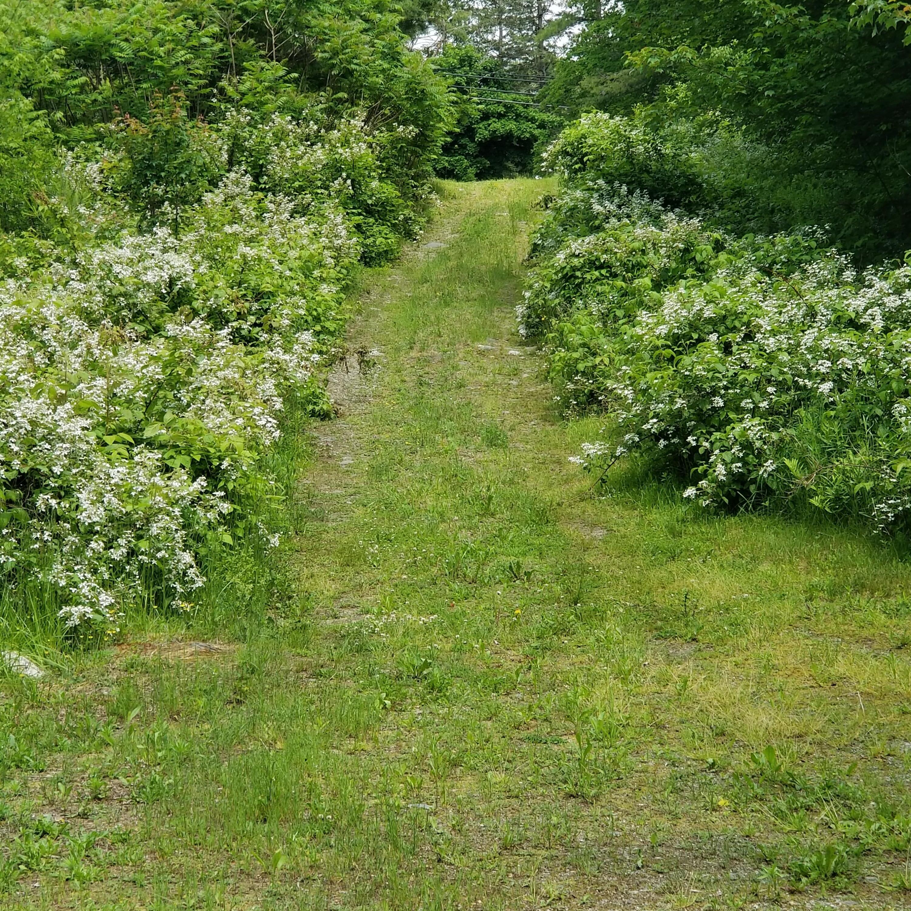 5 Maeve's Way Belfast, ME 04915 - Photo 25 of 25 20230613_140551