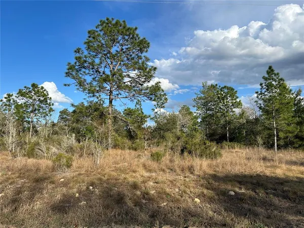 a view of a yard with a tree