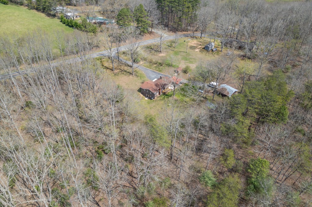 1266 Ford Road Warne, NC 28909 - Photo 58 of 62