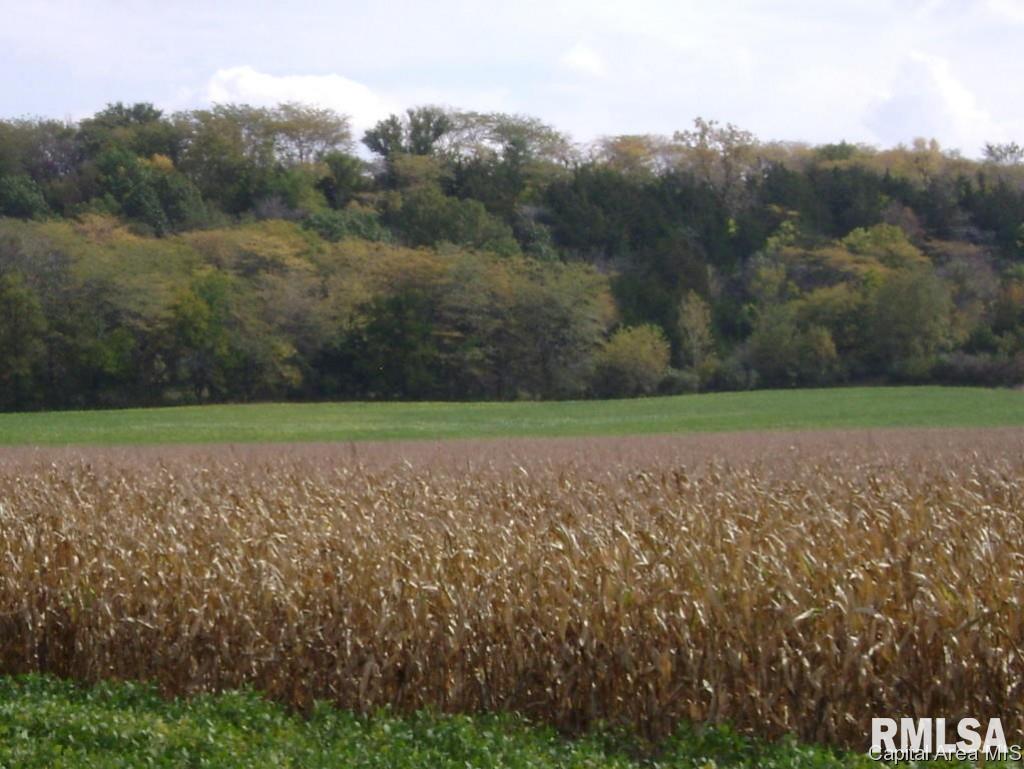 0 R R 1 Gladstone, IL 61437 - Photo 12 of 13 Gallery Image 12