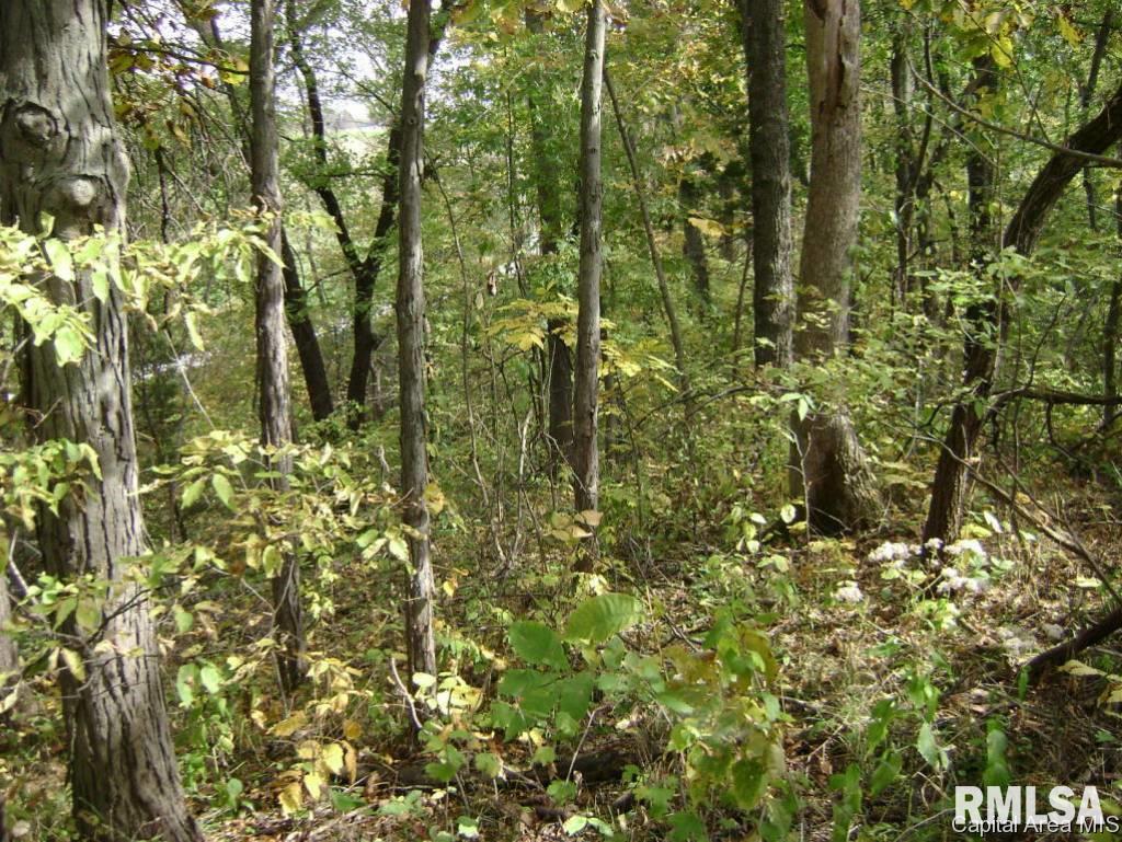 0 R R 1 Gladstone, IL 61437 - Photo 13 of 13 Gallery Image 13