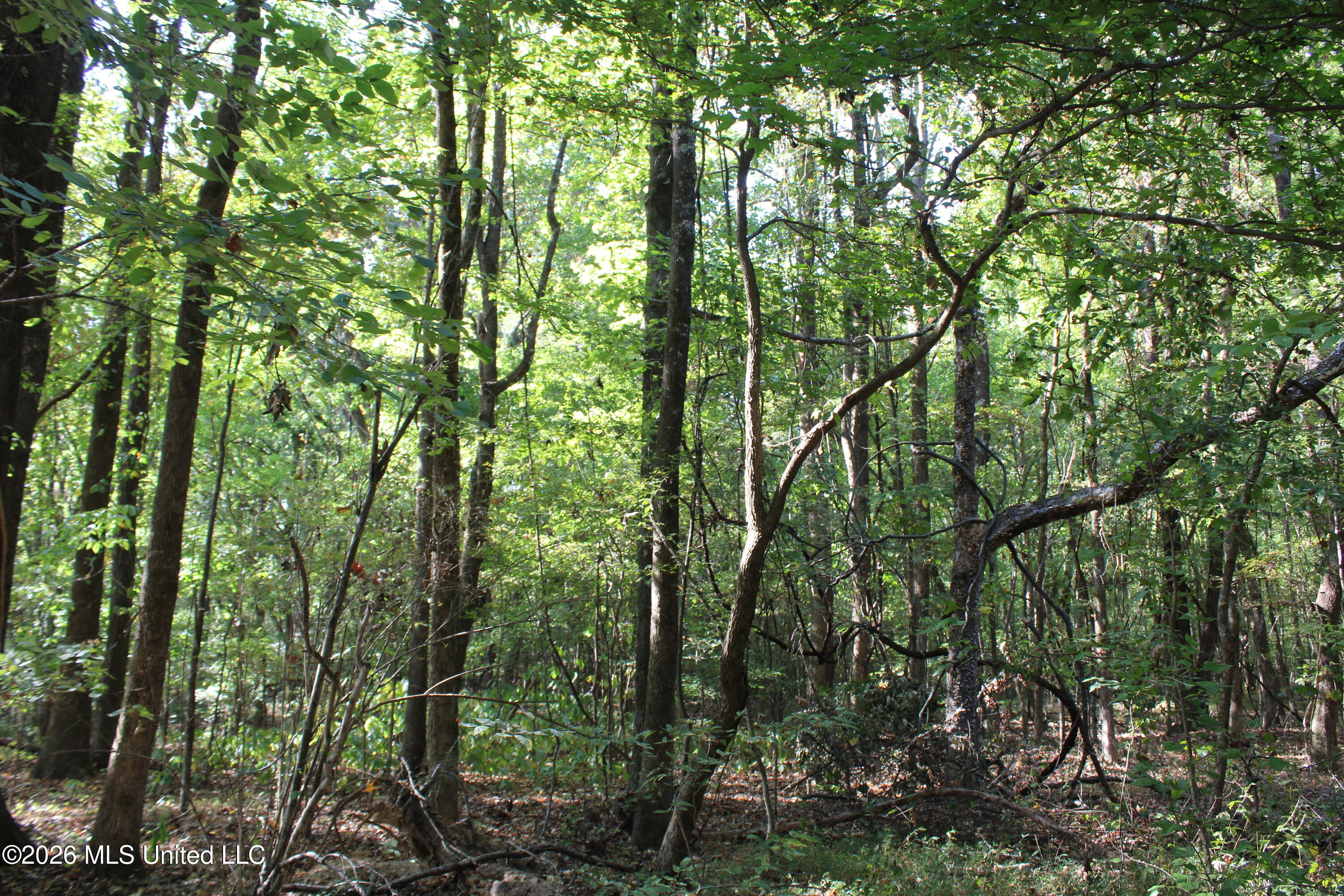 15 Tulane Road Nesbit, MS 38651 - Photo 59 of 64 IMG_8227