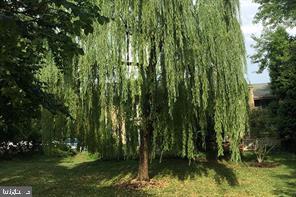 116 Cross Keys Road, Unit A A Baltimore, MD 21210 - Photo 14 of 15 a view of backyard with green space