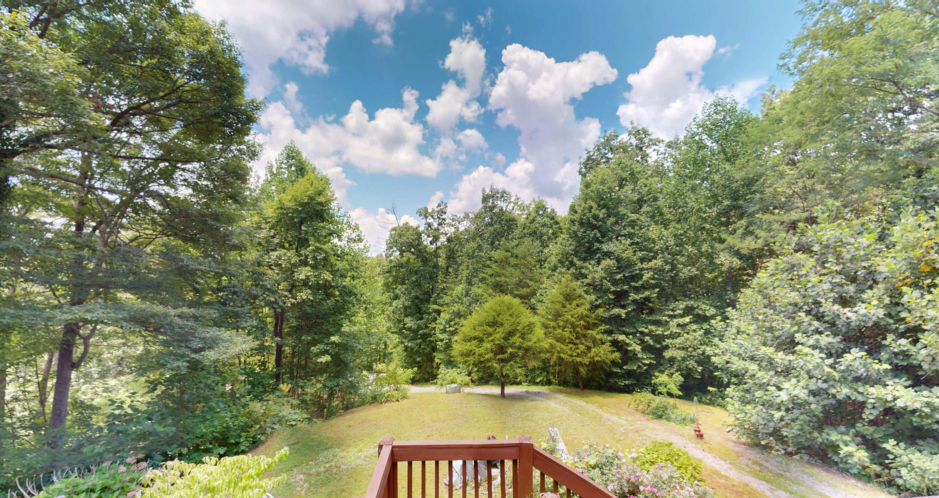 186 Caney Creek Road Reliance, TN 37369 - Photo 65 of 89 66-186-Caney-Creek-Rd-07092026_085127