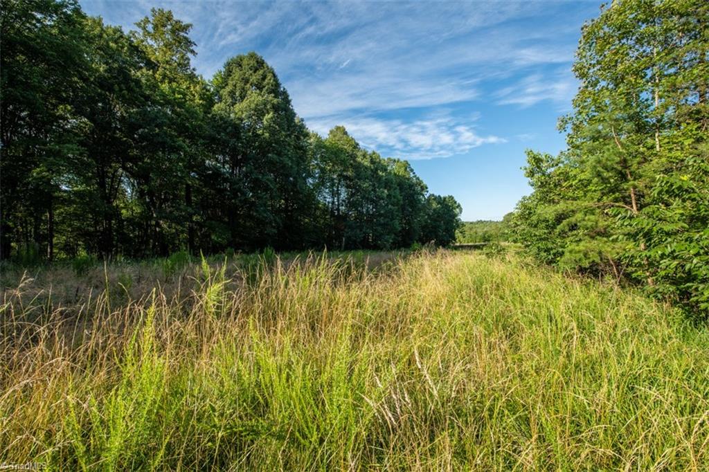 0 Angell Road Madison, NC 27025 - Photo 1 of 30