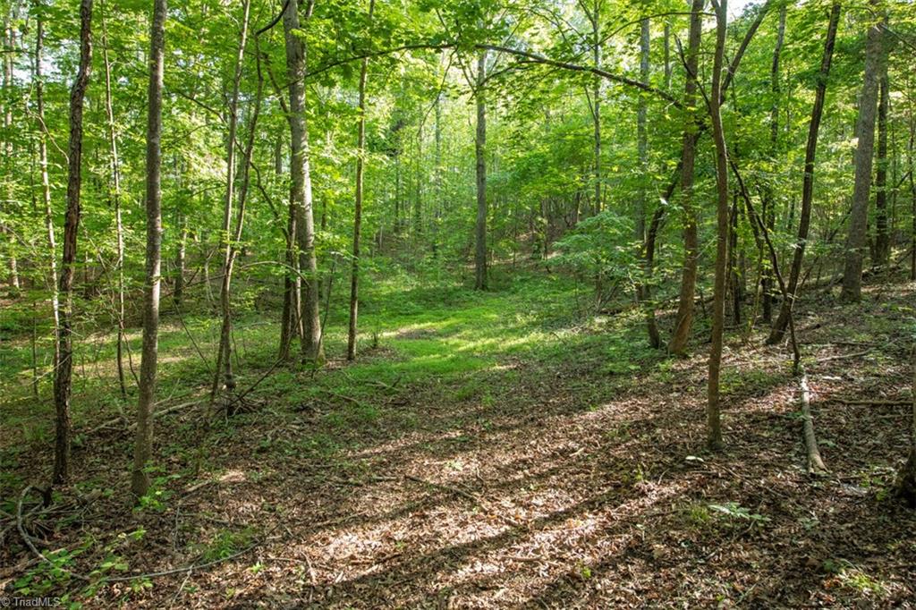 0 Angell Road Madison, NC 27025 - Photo 12 of 30