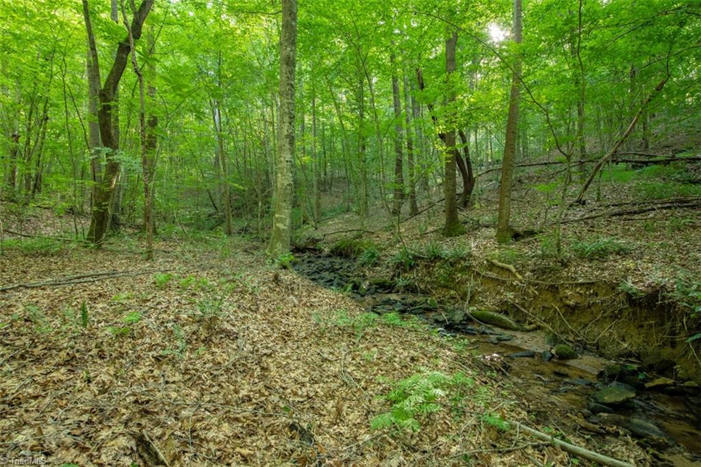 0 Angell Road Madison, NC 27025 - Photo 13 of 30