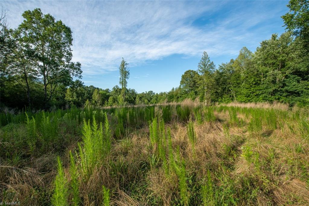 0 Angell Road Madison, NC 27025 - Photo 18 of 30