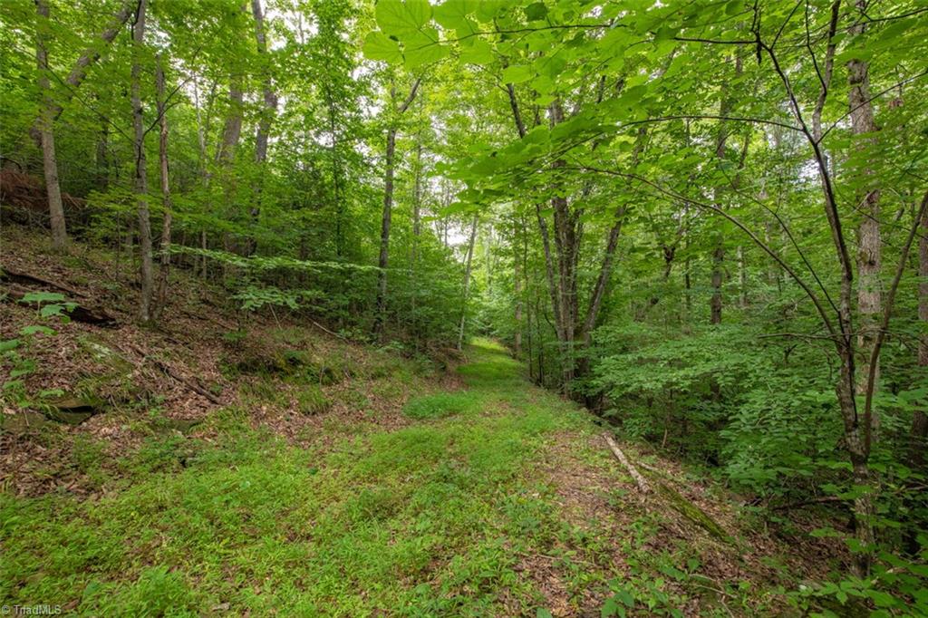 0 Angell Road Madison, NC 27025 - Photo 21 of 30