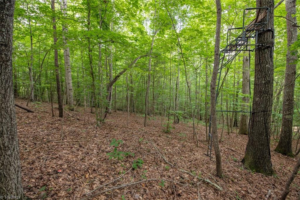 0 Angell Road Madison, NC 27025 - Photo 23 of 30