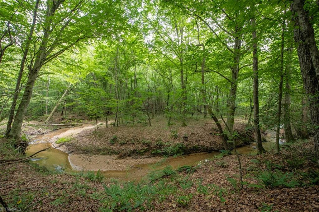 0 Angell Road Madison, NC 27025 - Photo 24 of 30