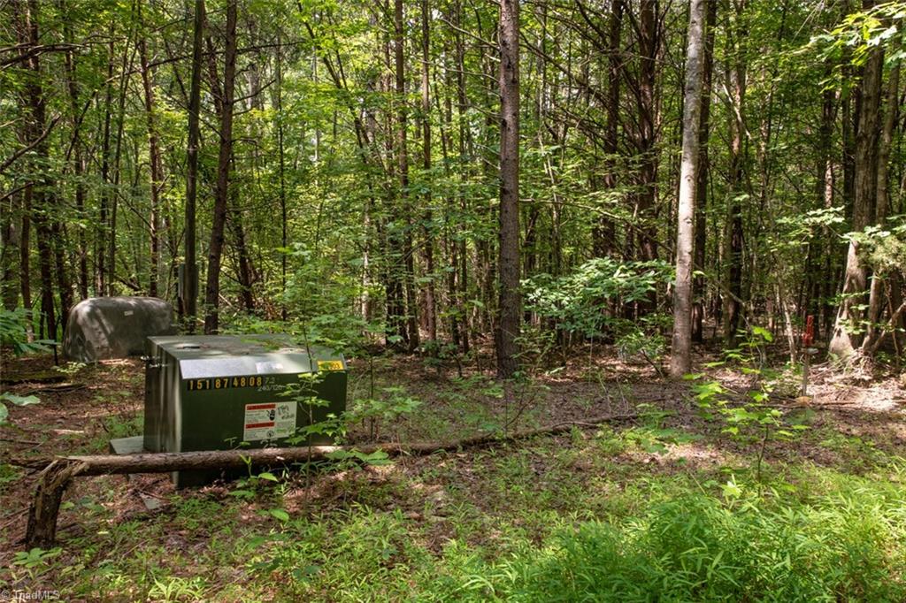 0 Angell Road Madison, NC 27025 - Photo 26 of 30