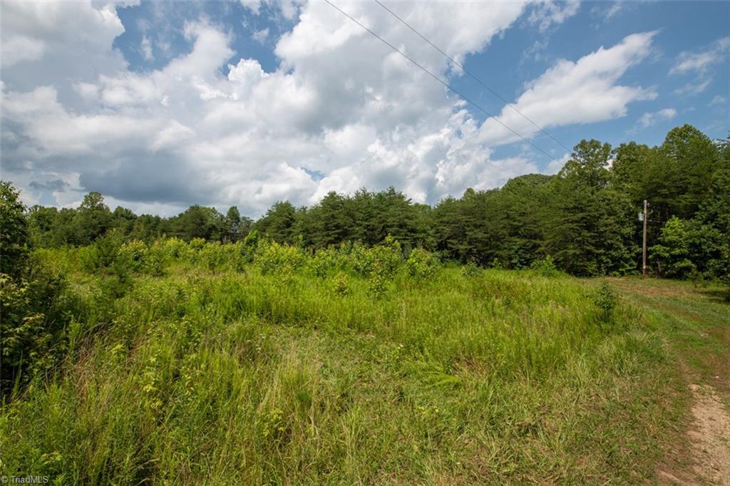 0 Angell Road Madison, NC 27025 - Photo 28 of 30