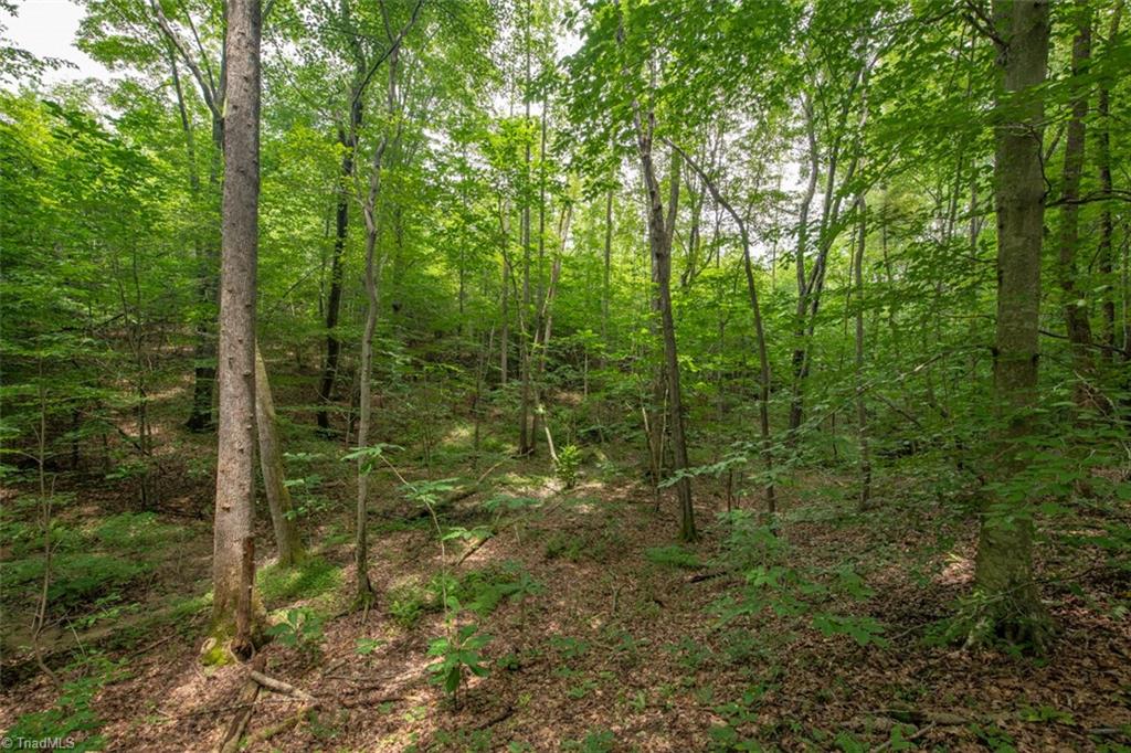 0 Angell Road Madison, NC 27025 - Photo 30 of 30