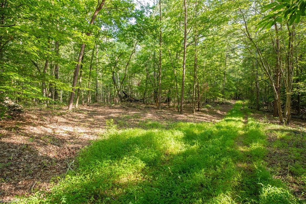 0 Angell Road Madison, NC 27025 - Photo 8 of 30