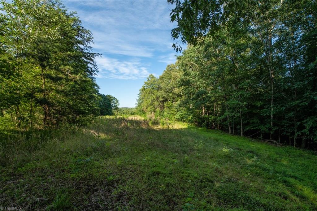 0 Angell Road Madison, NC 27025 - Photo 9 of 30
