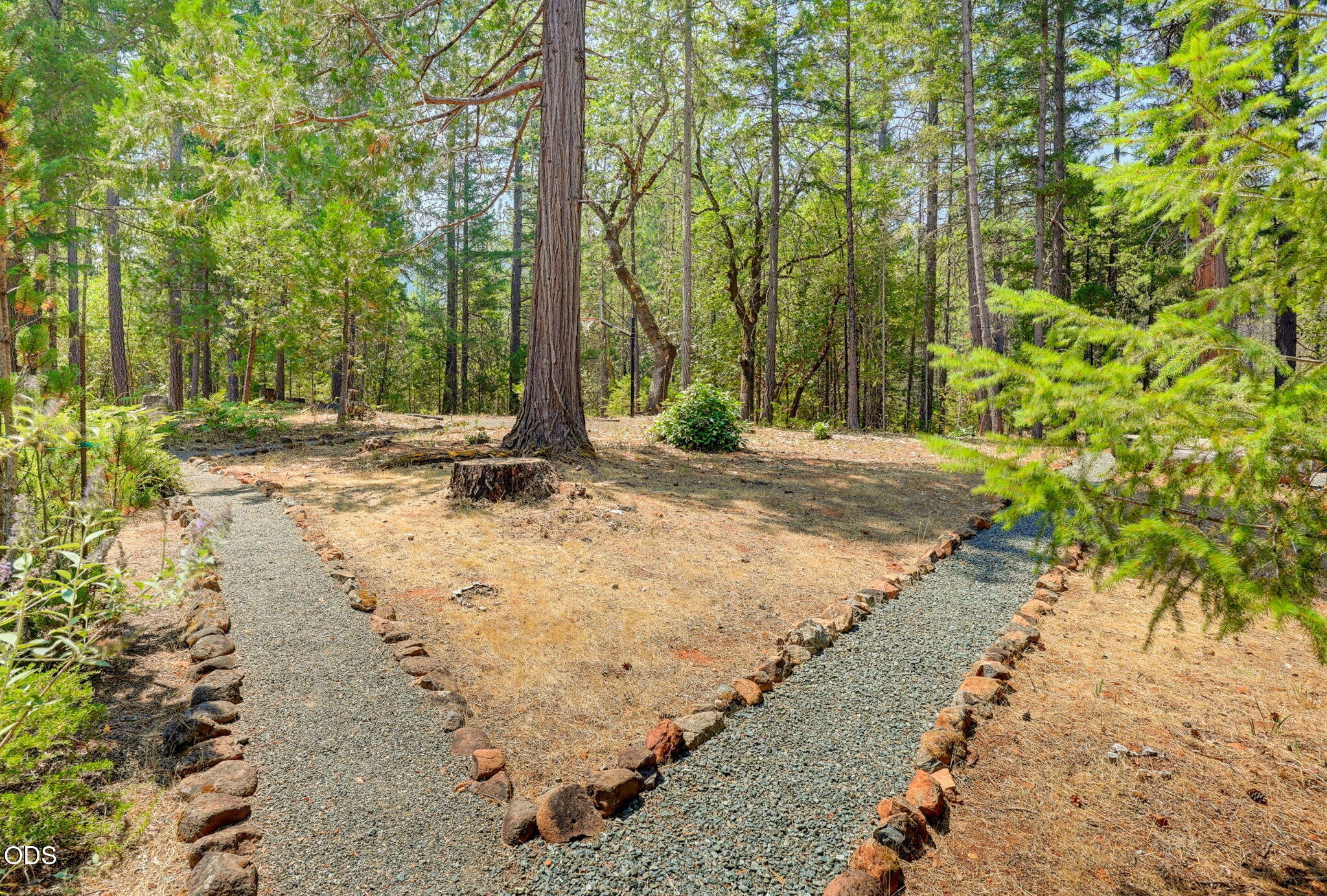 2280 Queens Branch Road Rogue River, OR 97537 - Photo 46 of 62