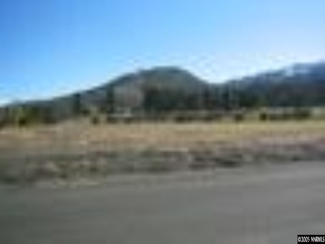 49 West Lightning W Ranch Road Carson City, NV 89704 - Photo 1 of 7 Photo 1