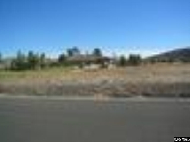 49 West Lightning W Ranch Road Carson City, NV 89704 - Photo 2 of 7 Photo 2