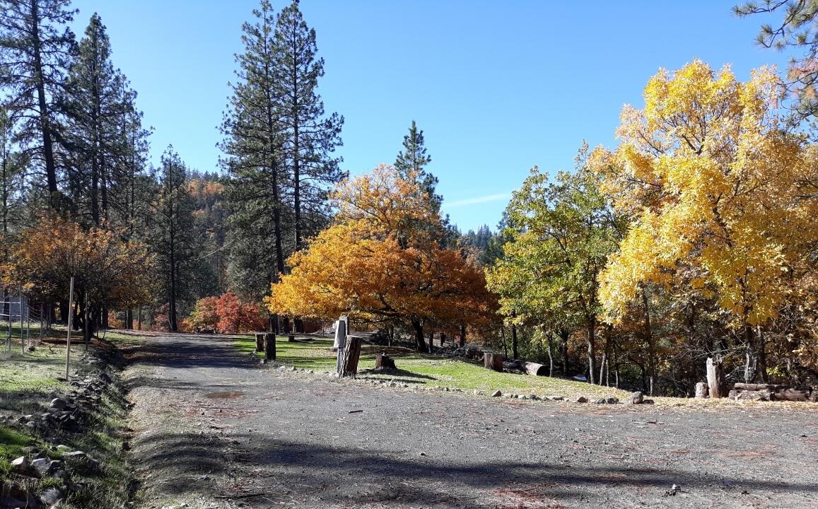 301 Goose Ranch Road Lewiston, CA 96052 - Photo 2 of 33 301 Goose Ranch - fall
