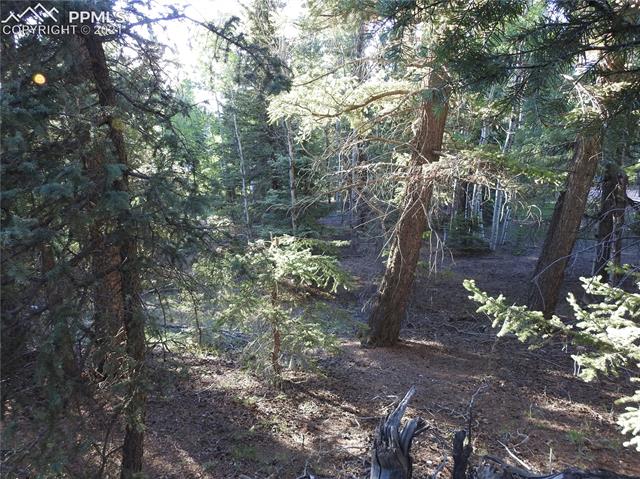 899 Kutsu Ridge Road Florissant, CO 80816 - Photo 11 of 11 Gallery Image 11