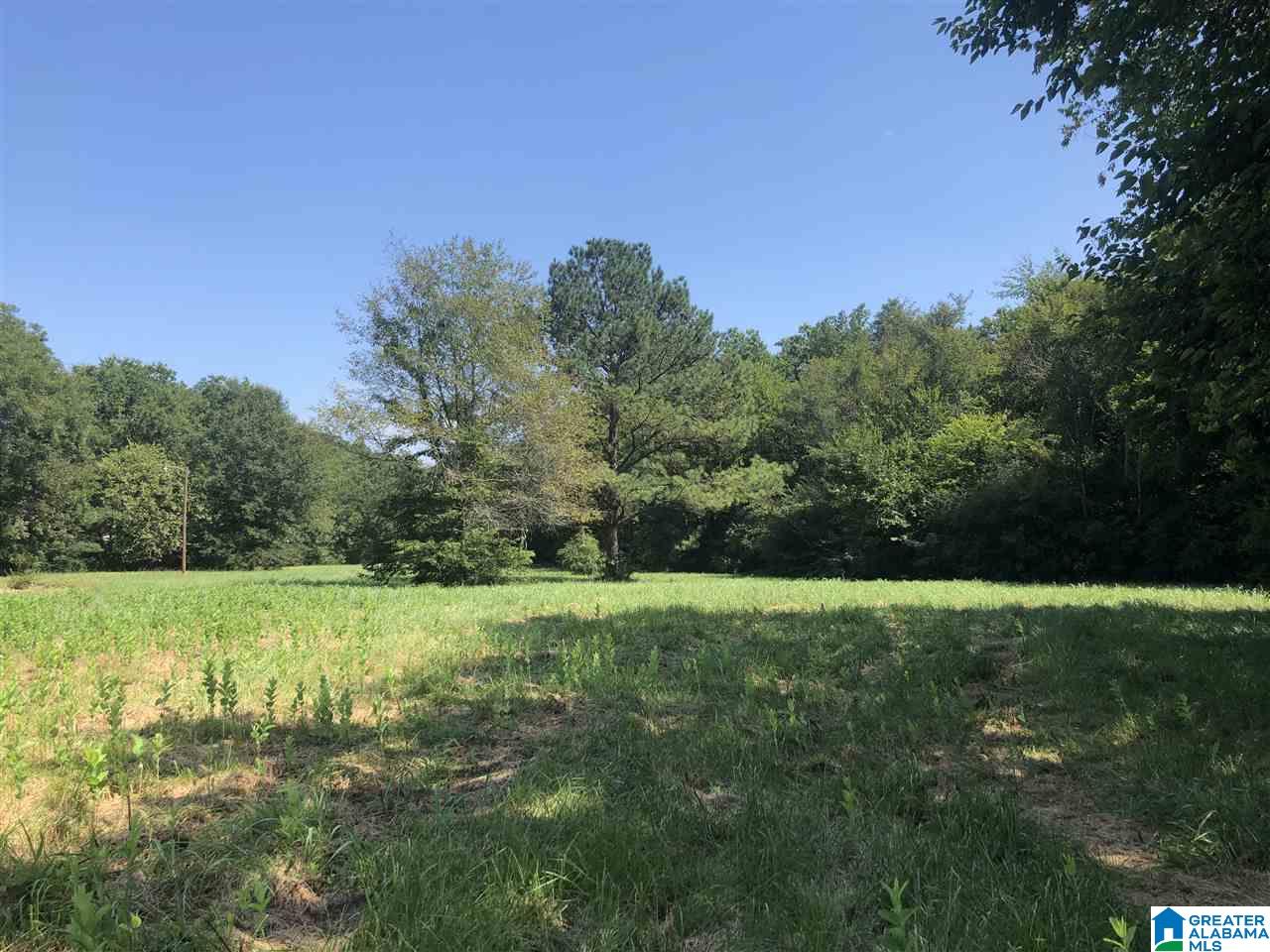 535 4th Avenue Southwest, Unit 2 28ACRES Bessemer, AL 35022 - Photo 2 of 5