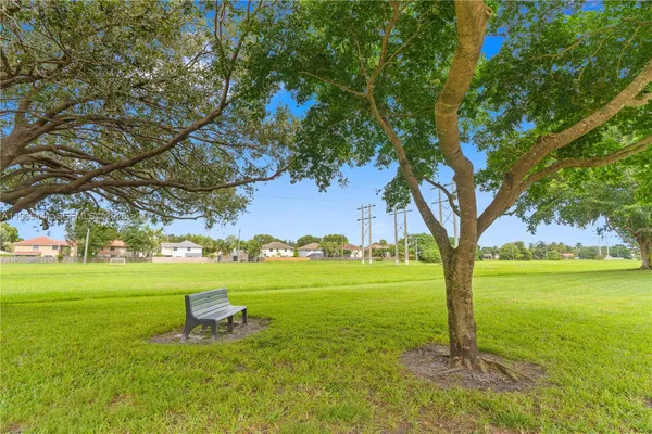 a view of a park with large trees