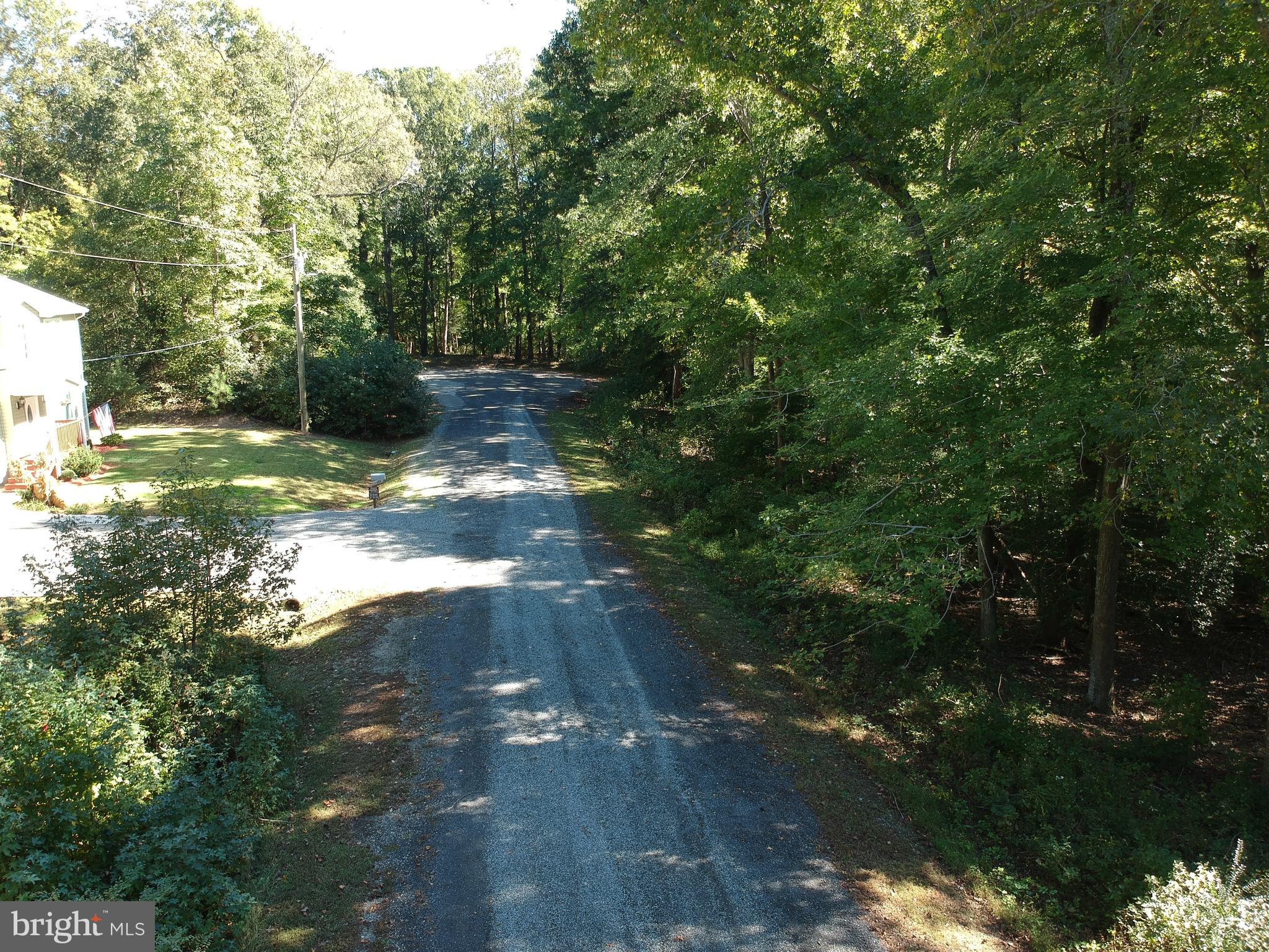 a view of a yard with a tree