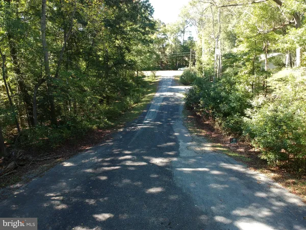 a view of a street with trees