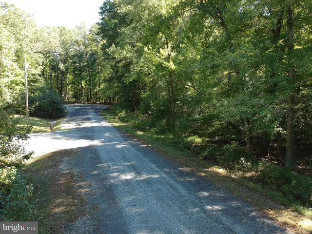 a view of a yard with plants and trees