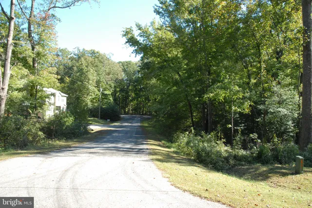 a view of a yard with plants and a trees