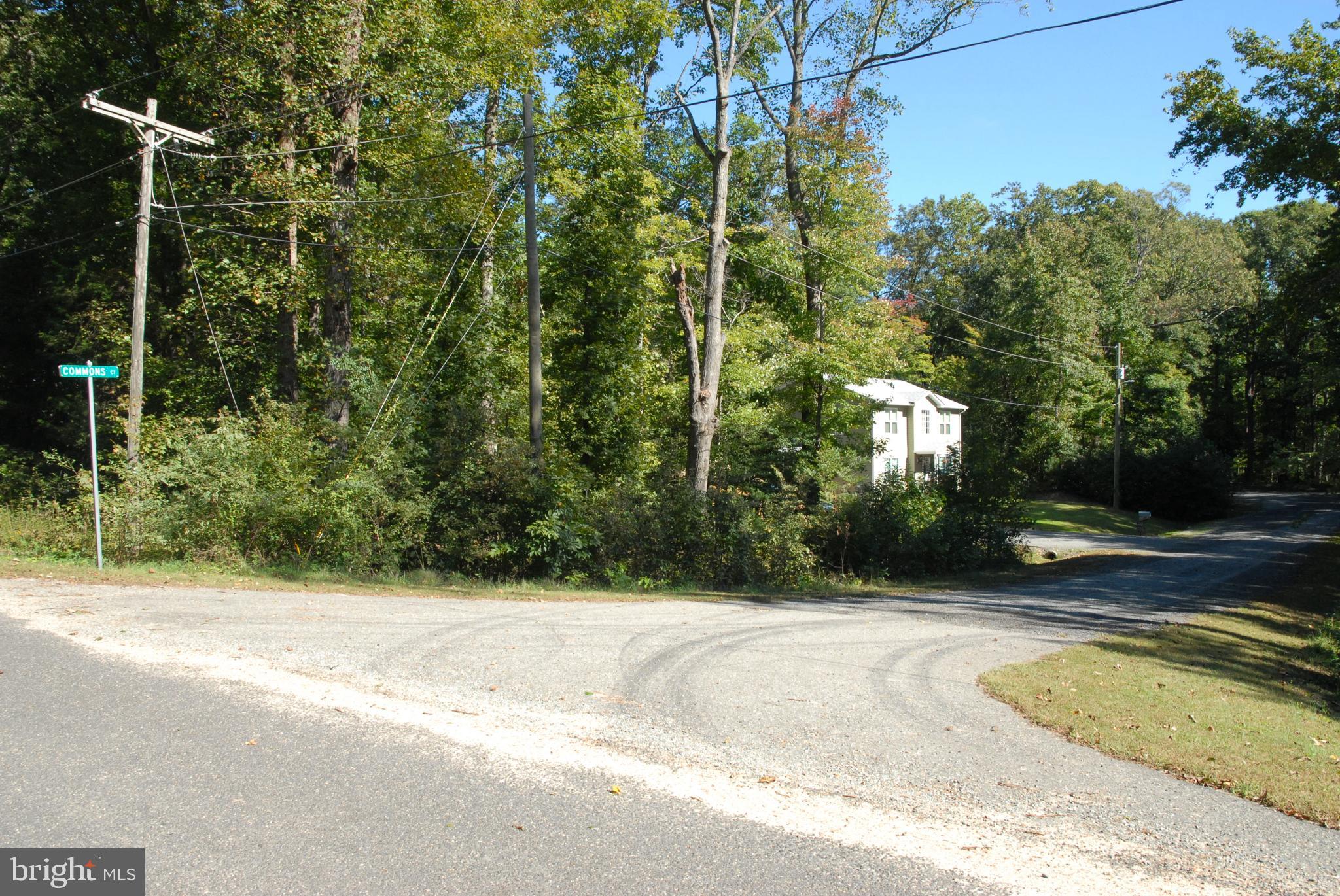 Lot 83 Commons Court Montross, VA 22520 - Photo 20 of 25 a view of a house with a backyard and trees