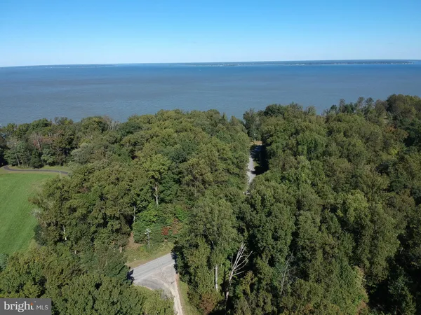 a view of a lake in middle of forest
